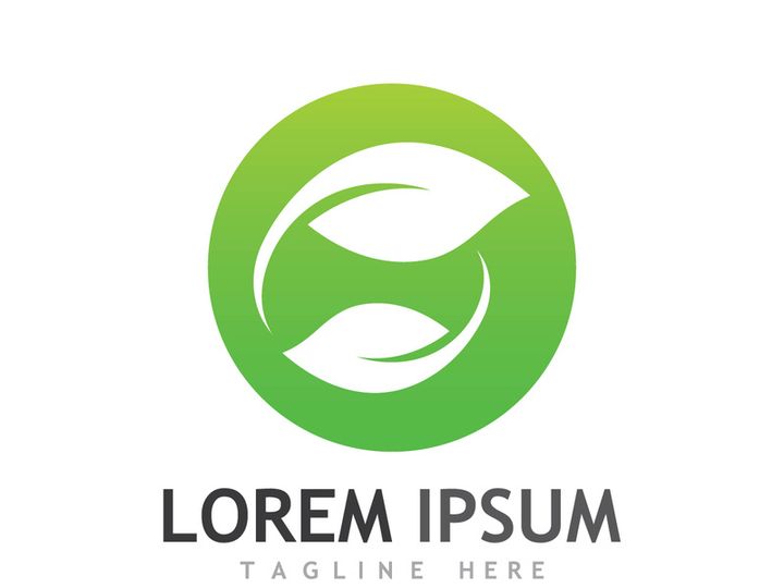 Natural green leaf logo design.
