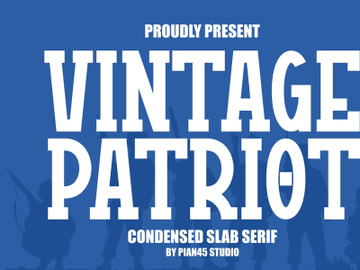 Vintage Patriot - Condensed Slab preview picture