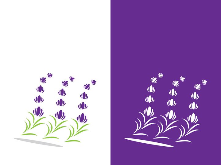 Fresh lavender flower logo vector flat design