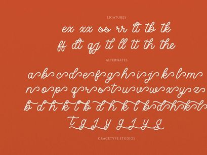 Caniora Florents | Monoline Script Font