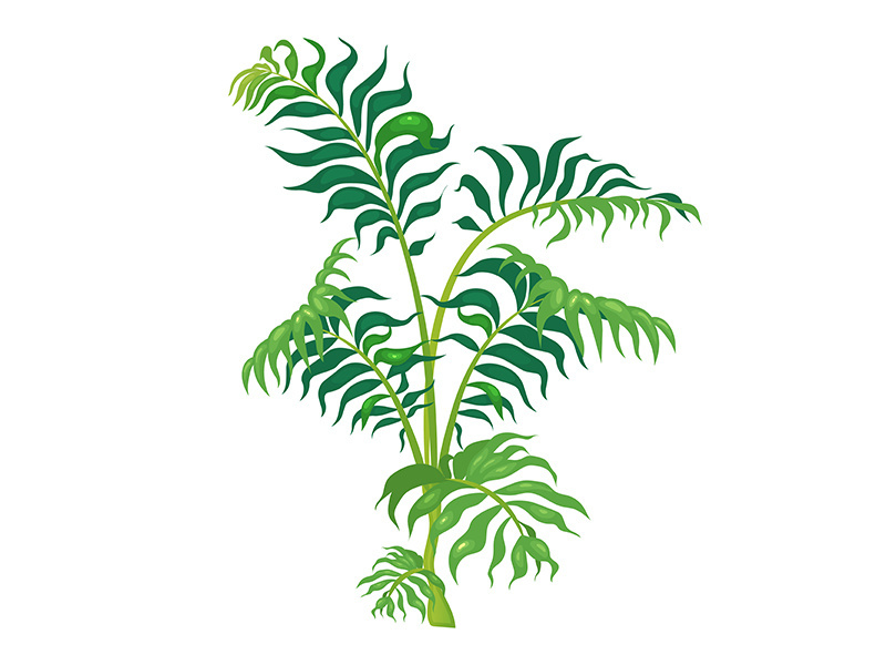 Jungle vegetation cartoon vector illustration