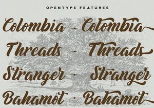 Biyonella - Retro Bold Script Font