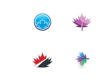 Maple leaf vector illustration design template