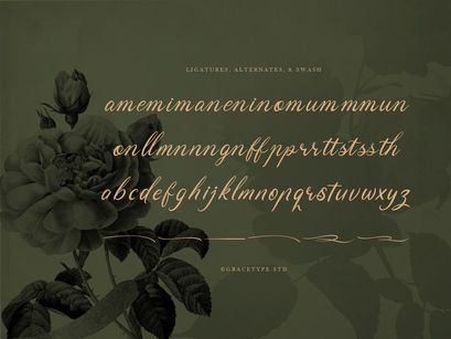 Ubel Amour | Elegant Vintage Script