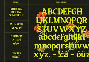 Sirkle - Semi Serif Display