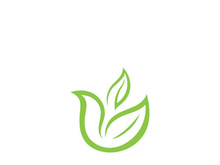 Logos of green Tree leaf ecology nature element vector