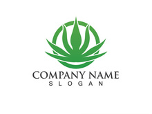 Aloe vera logo vector ilustration template