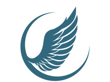 Wings logo