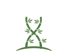 Bamboo Logo Template vector icon