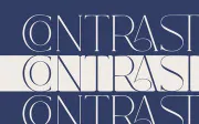 Fracture - Serif Font