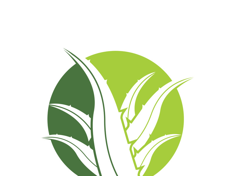 Aloe Vera logo icon design symbol beauty skin care
