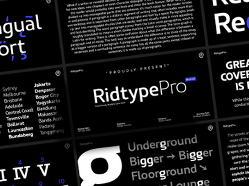 Ridtype Pro - Font Family preview picture