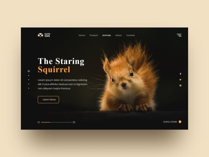 Animal Web Exploration