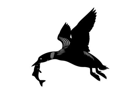Silhouette of a bird in flight with prey