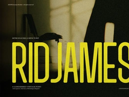 Ridjames | Condensed Vintage preview picture
