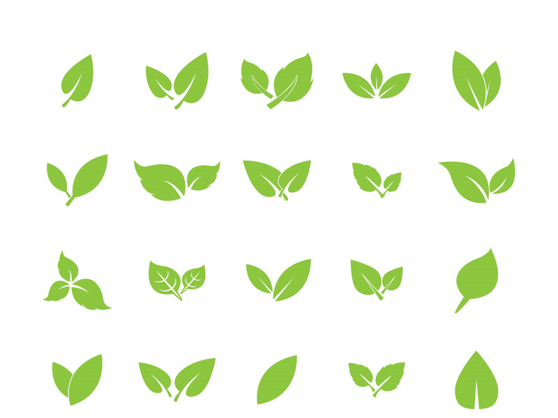 Leaf logo vector icon design template