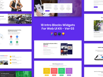 18 Intro Blocks Widgets for Web UI Kit Ver-03 preview picture