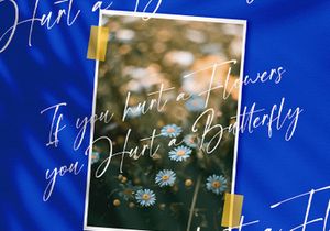 Franky Rain - Signature Script Font