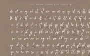 Selestia Signature - Handwritten Font