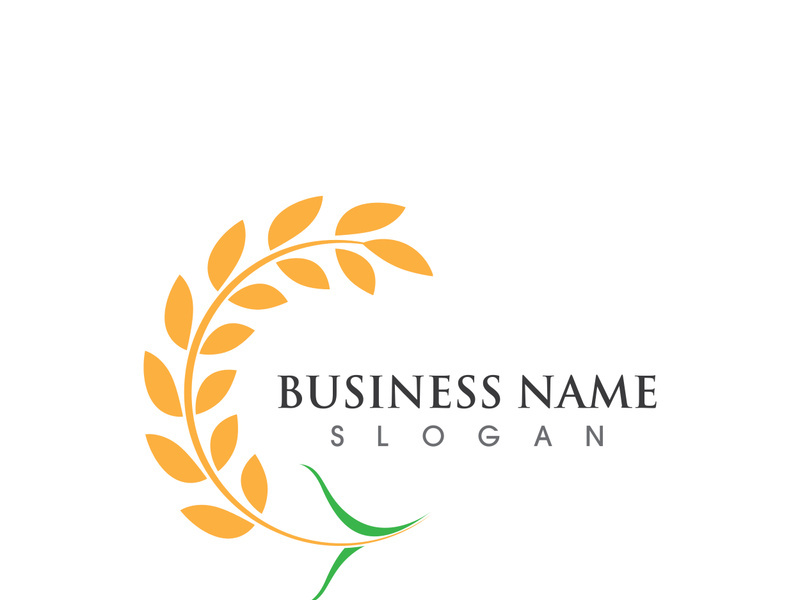 Agriculture wheat logo and symbol vector