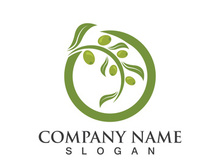 Extra virgin olive oil logo icon design vector illustration