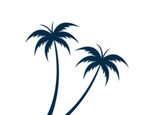 Palm tree summer logo template vector illustration