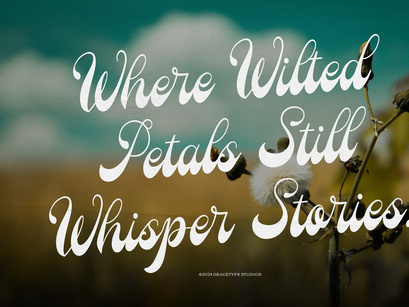 Bastille Fields | Vintage Script