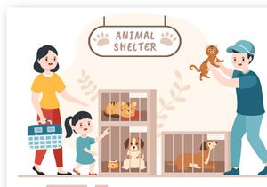 15 Animal Shelter Cartoon Illustration