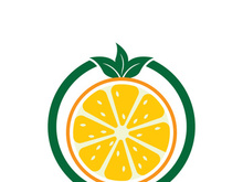 Orange logo design vector icon illustration