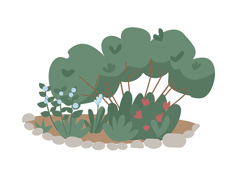 Shrubs for backyard garden semi flat color vector object