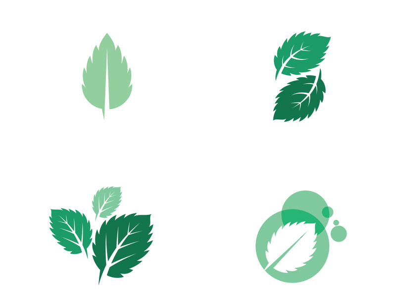 Mint Leaf icon template illustration