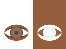 Branding identity corporate eye care vector logo design