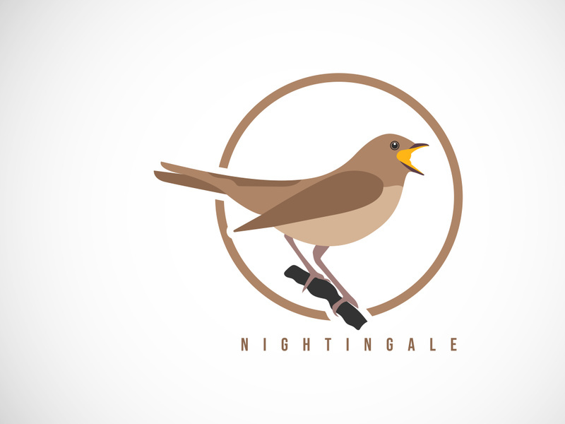 Nightingale bird in a circle. Nightingale bird logo design template vector illustration