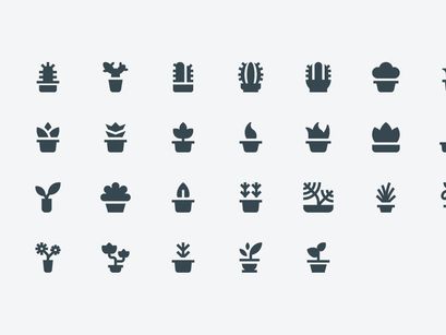 Home — Flower pots