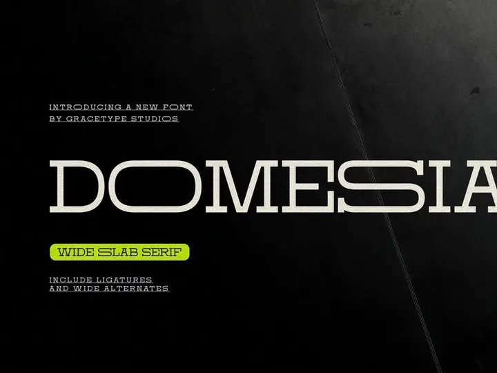 Domesia | Wide Slab Serif