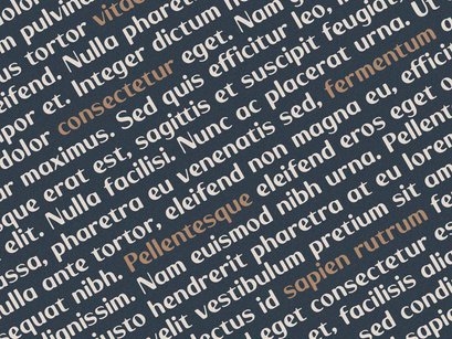 Monk - Display Font