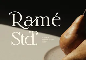 Grotek - Luxury Modern Serif