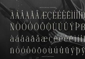 Dennya | Display Serif Font