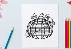 Plaid pumpkin line art illustration. Autumn harvest squash drawing with tartan pattern.