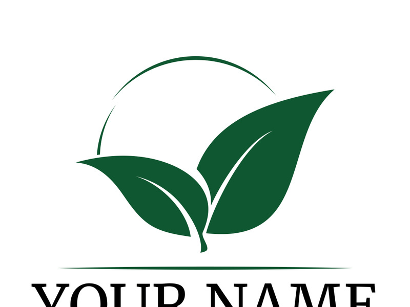Green leaf logo design vector illustration