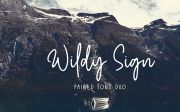 Wildy Sign Signature Font