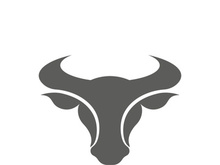 Bull head logo vector icon design illustration