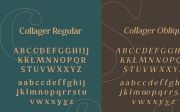Collager - Modern Serif Family Font