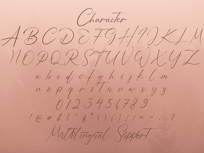 Bellamy Signature - Handwritten Font