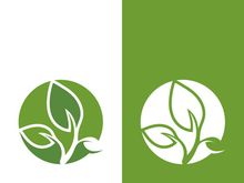 Green tree leaf nature logo images illustration design