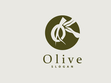 Olive Oil Logo, Olive Leaf Plant Herbal Garden Vector