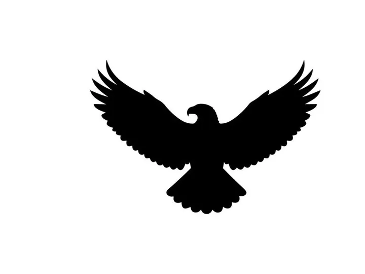 Black silhouette of an eagle in flight with wings spread wide
