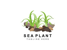 Seaweed Logo, Sea Plants Vector Design, Grocery And Nature Protection
