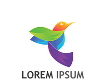 Beautiful and colorful bird creative logo design.