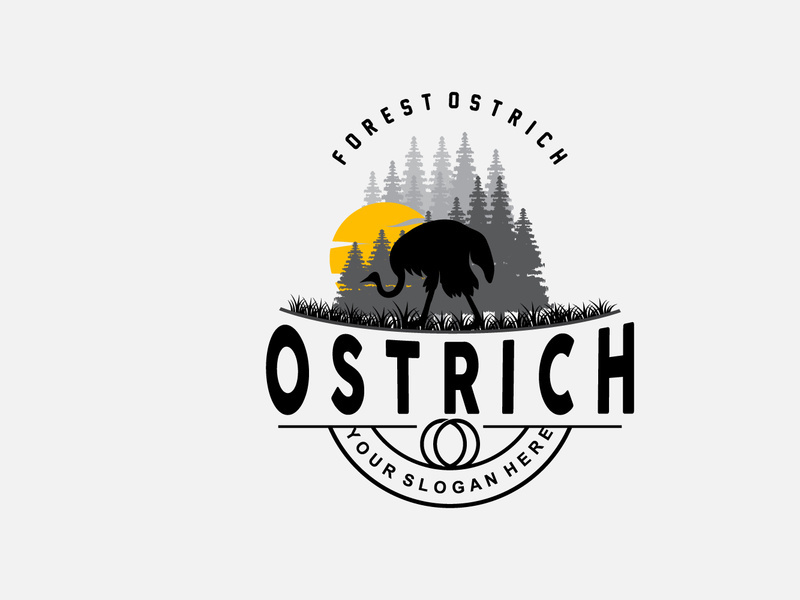 Ostrich Logo Design, Desert Animal Illustration
